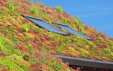 Baldwinholme living roof systems